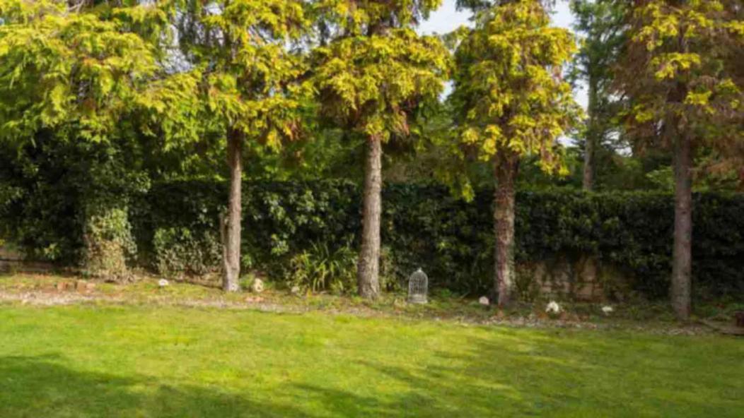 Piglet Cottage Pebworth Exterior foto